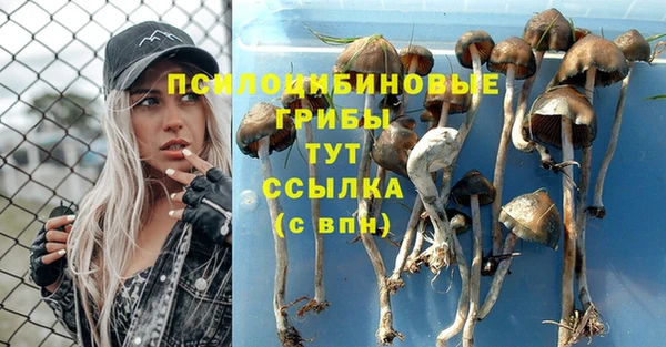 твердый Арсеньев