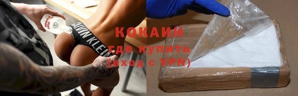шишки Сосновка