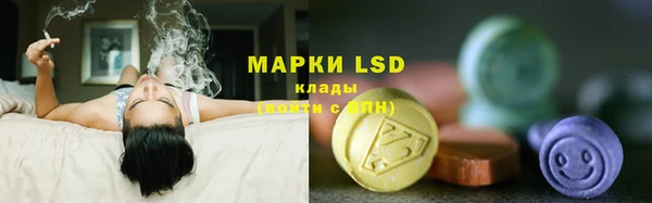 твердый Арсеньев