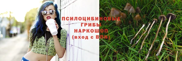 твердый Арсеньев