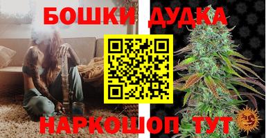 соль ск Новозыбков