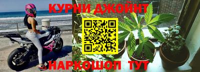 прущие грибы Нягань