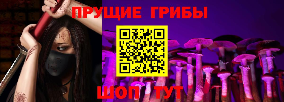 Псилоцибиновые грибы GOLDEN TEACHER  купить закладку  Фролово  Вход с VPN 